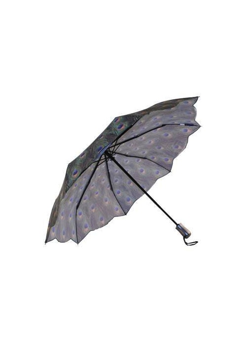 Peacock Umbrella 2