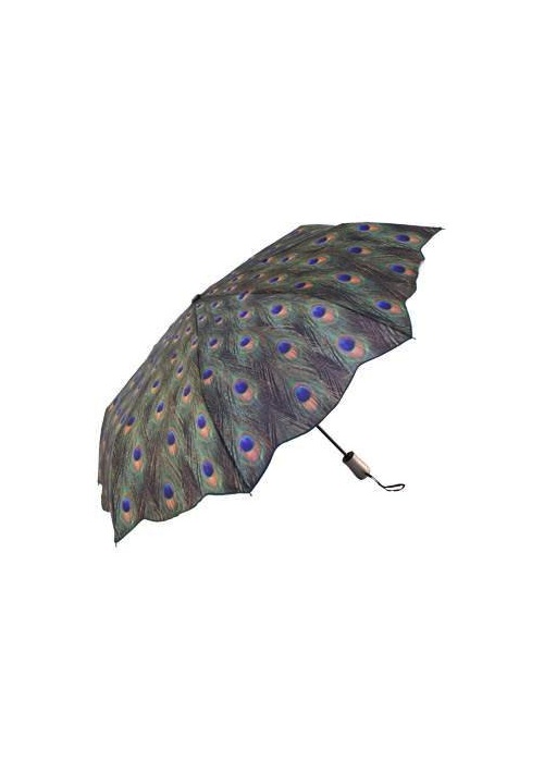 Peacock Umbrella