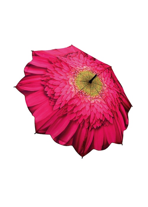 Pink Daisy Umbrella