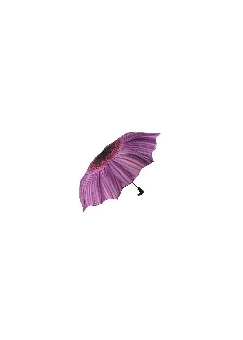 Purple Daisy Umbrella