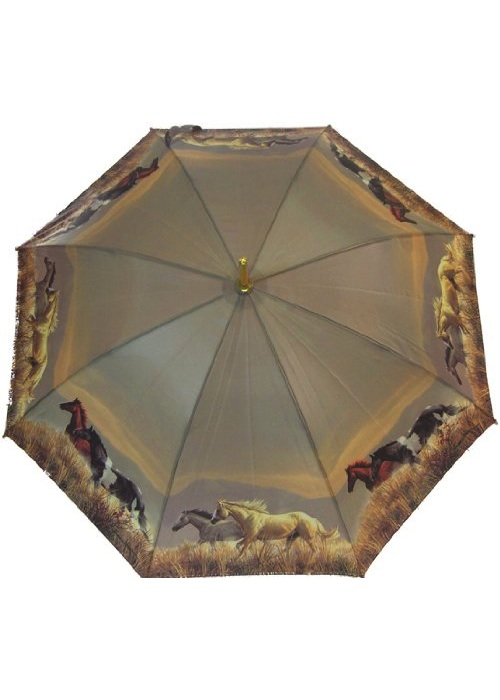 Band of horses umbrella