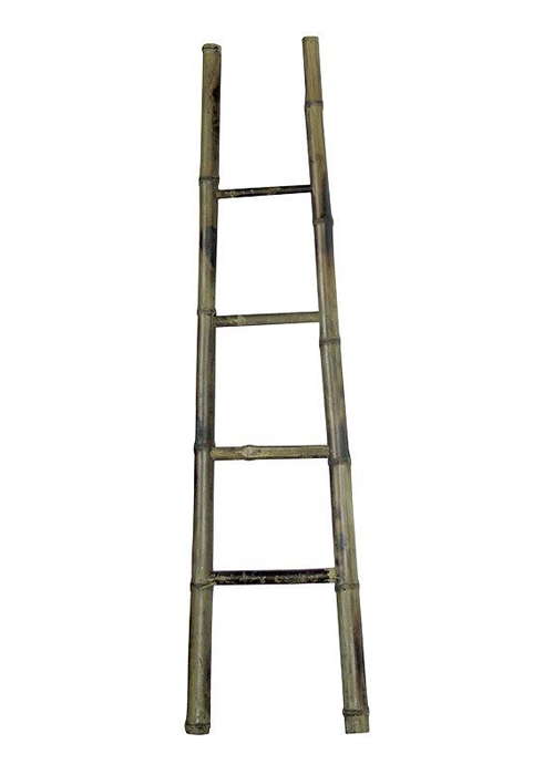 bamboo ladder display rail