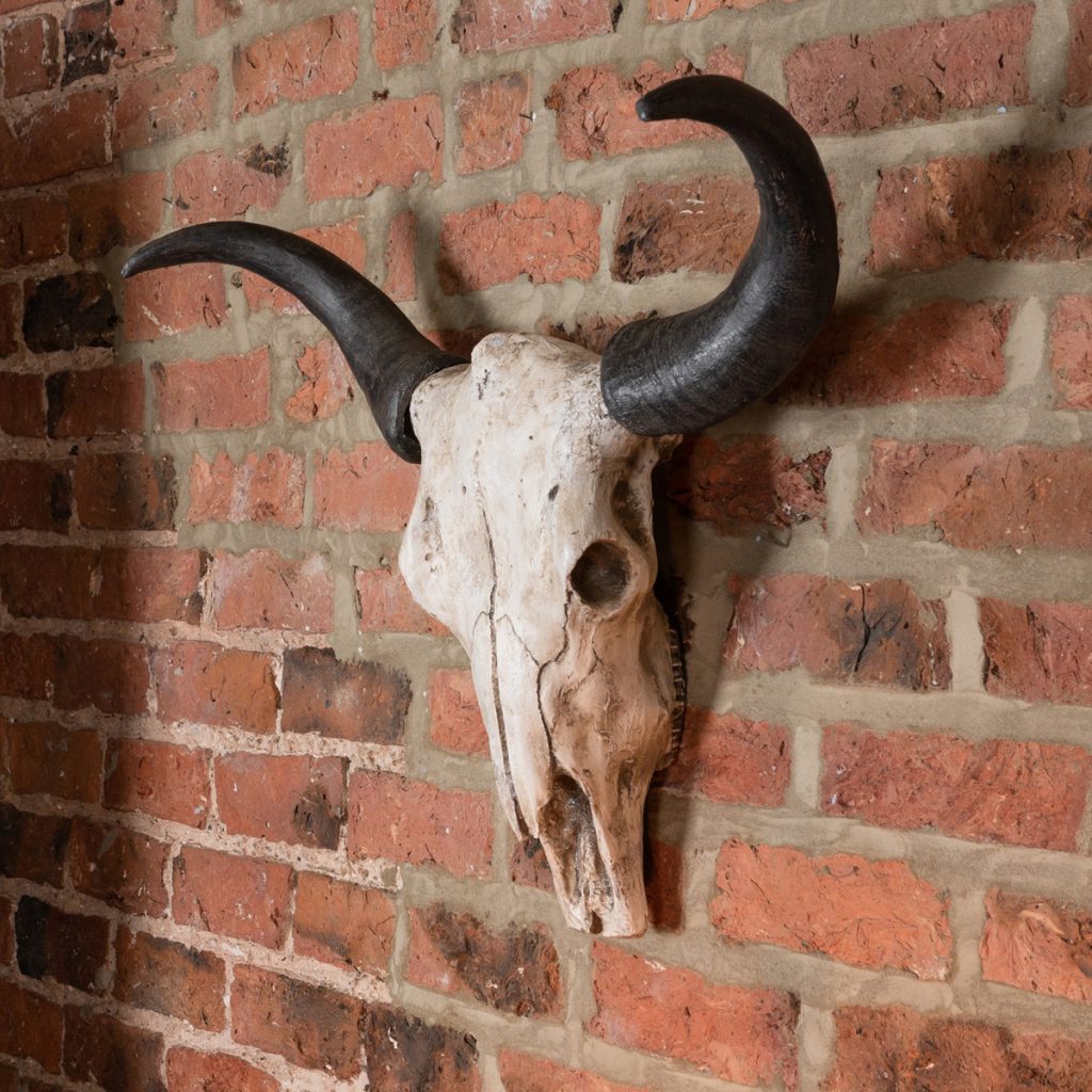 17987-b Large Ox Skull Wall Art Decoration