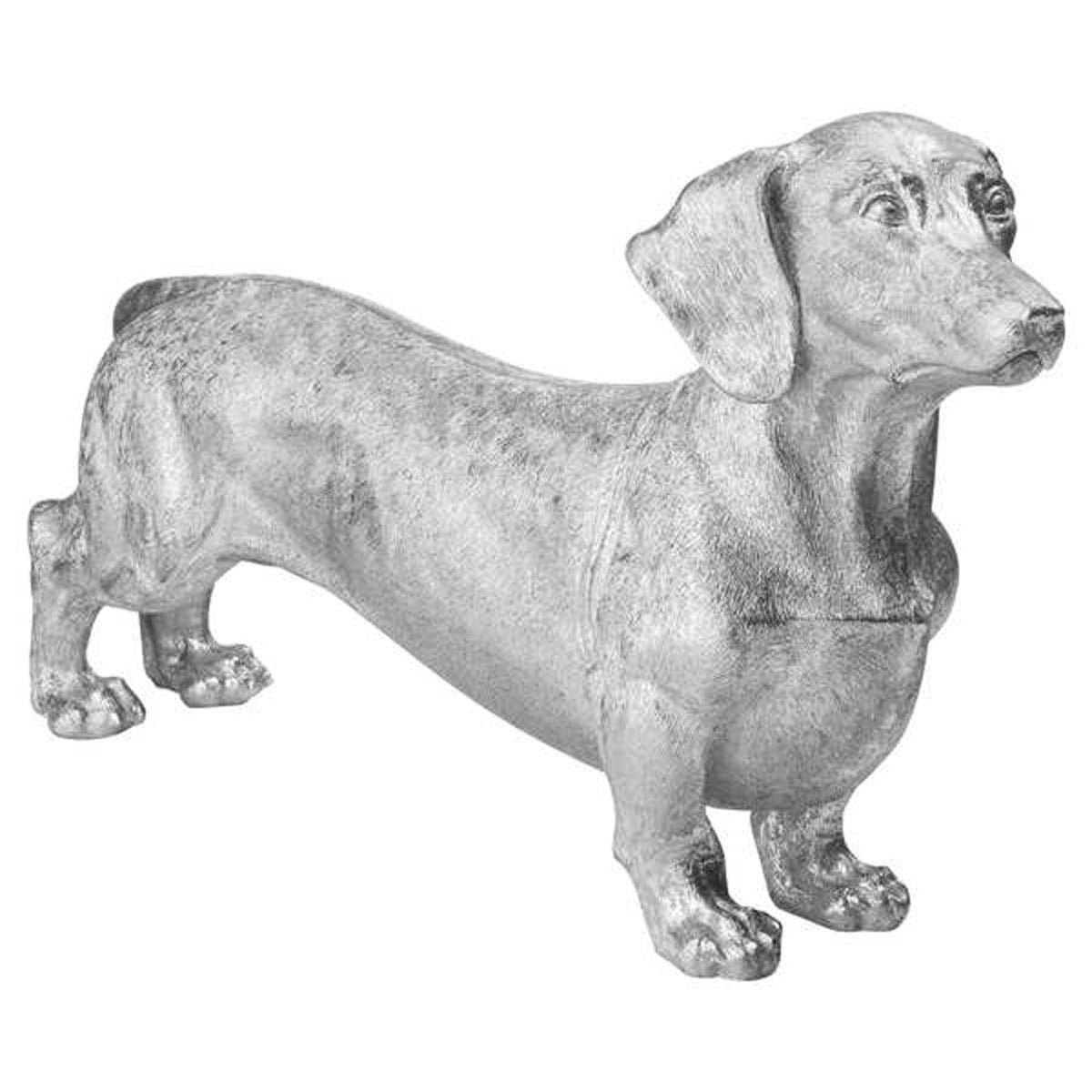 silver dachshund
