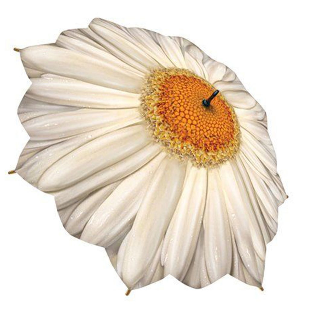 Floral Daisy White Yellow Umbrella