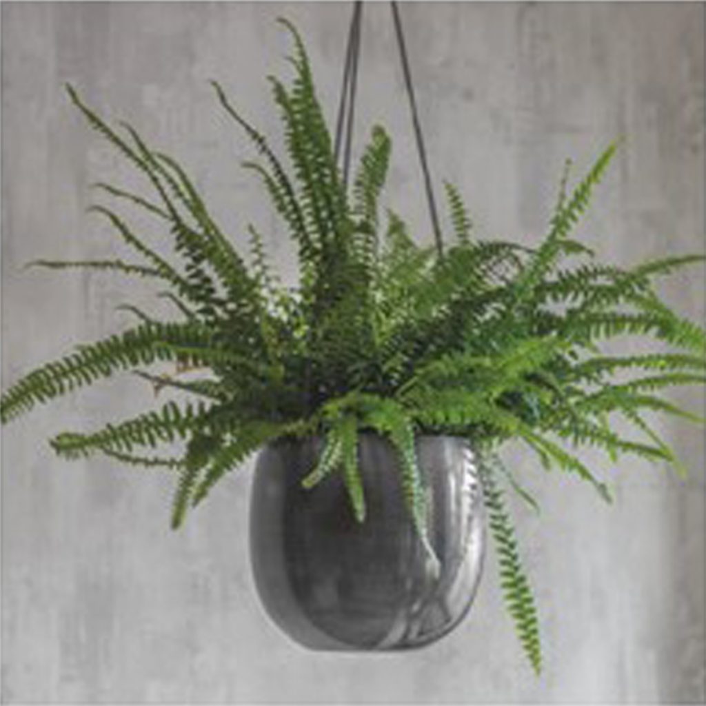 FPAP01 Large Grey Hanging Plant Pot