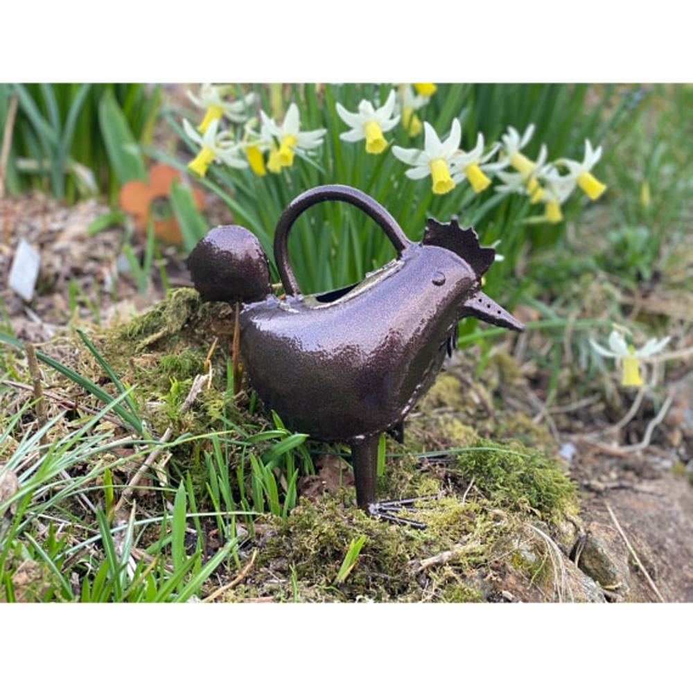 420056 Hand Crafted Frog Hen Watering Can